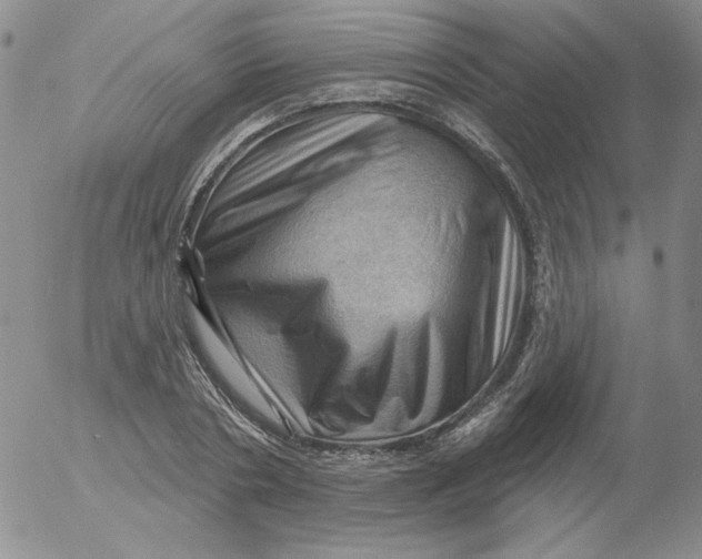 X0000053080786200508012005