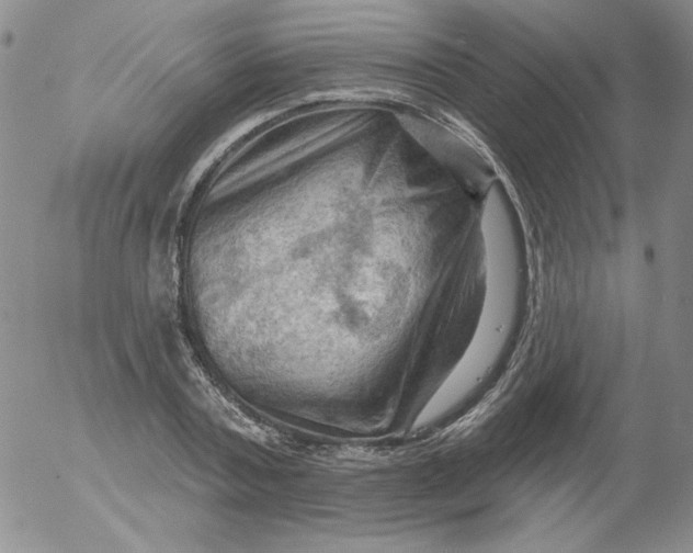 X0000053080787200508012005