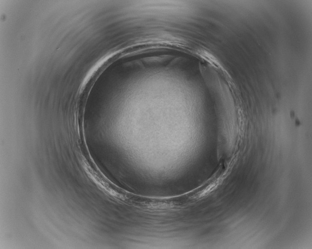 X0000053080788200508012005