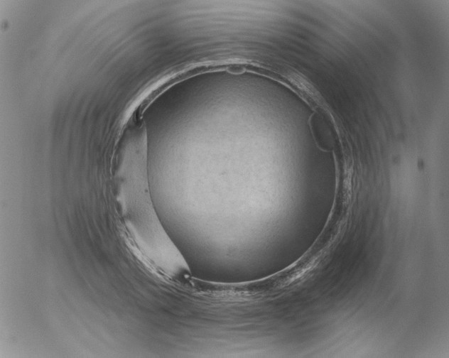 X0000053080789200508012005