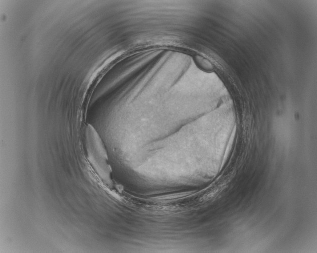 X0000053080790200508012005