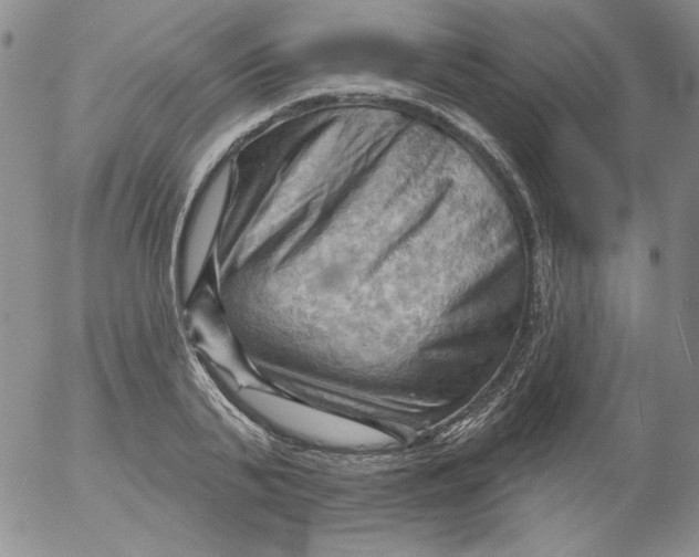 X0000053080791200508012005