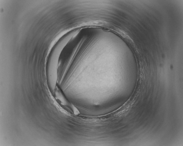 X0000053080792200508012005