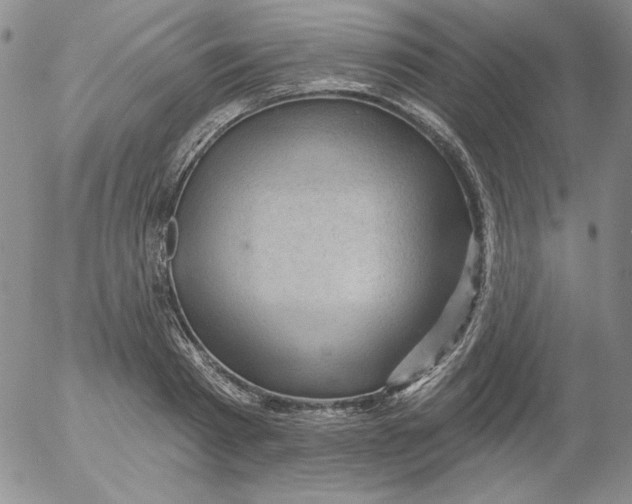 X0000053080793200508012005