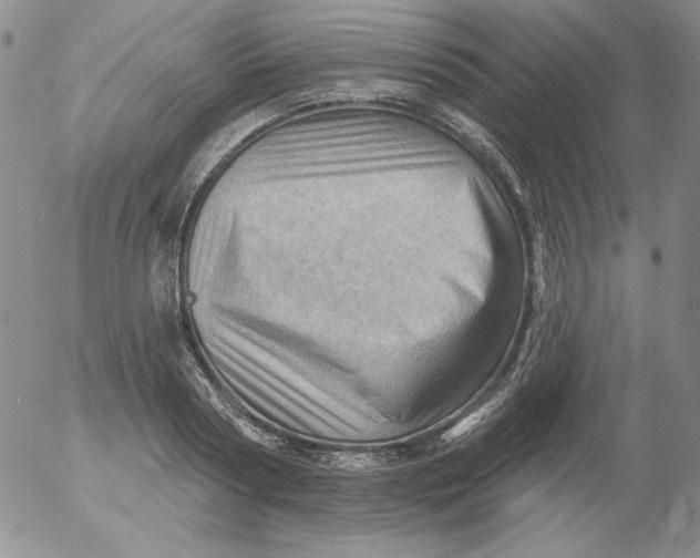 X0000053080794200508012005