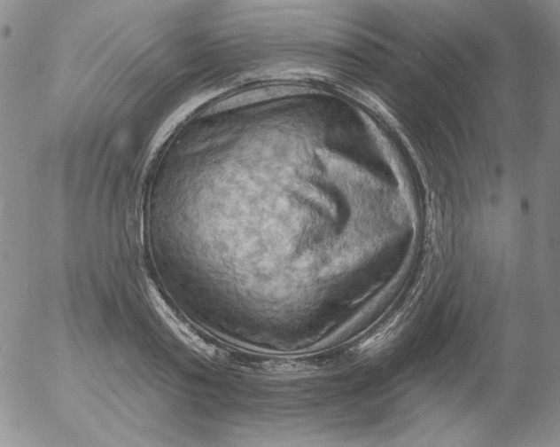 X0000053080795200508012005