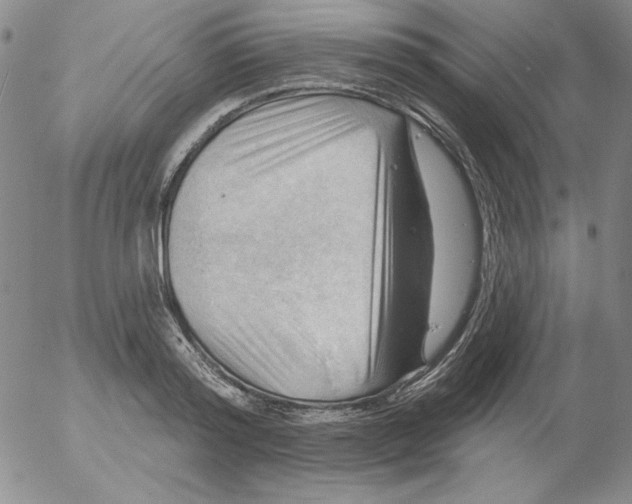 X0000053080796200508012005