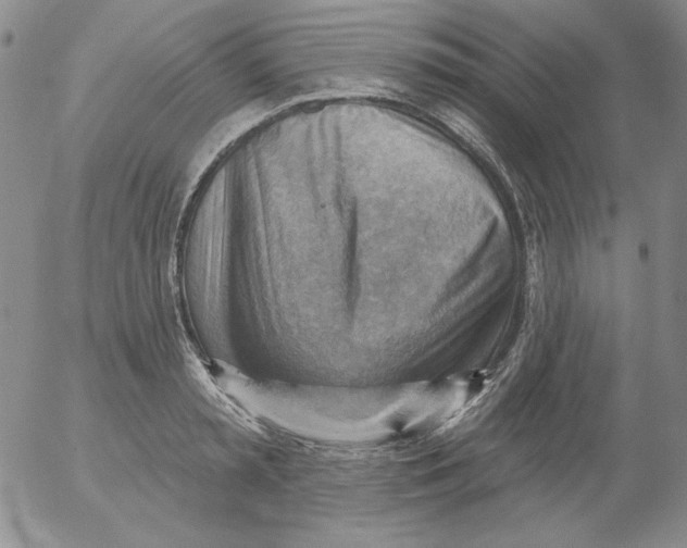 X0000053080797200508012005