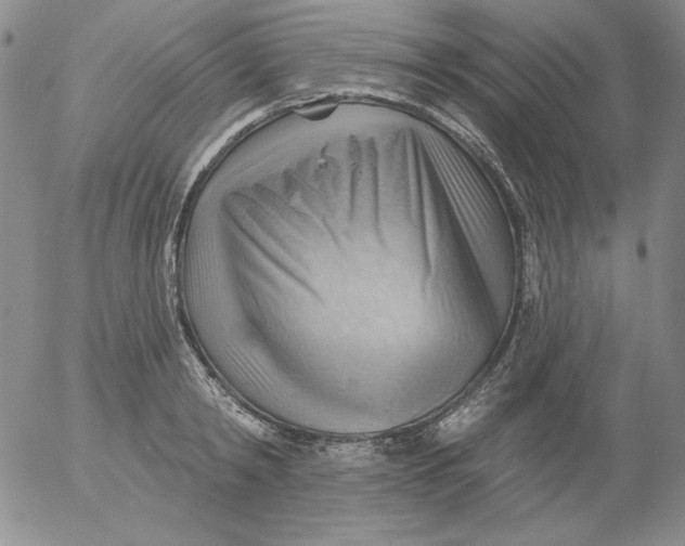 X0000053080798200508012005