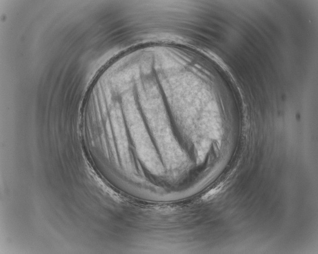 X0000053080799200508012005