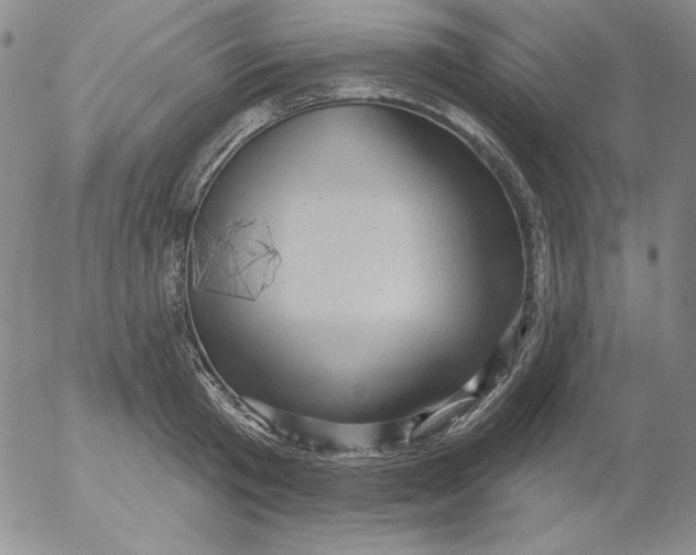 X0000053080801200508012005