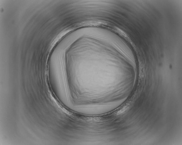 X0000053080802200508012005