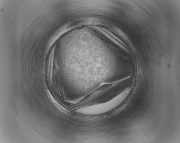 X0000053080803200508012005