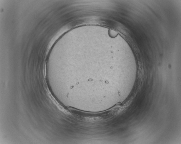 X0000053080804200508012004