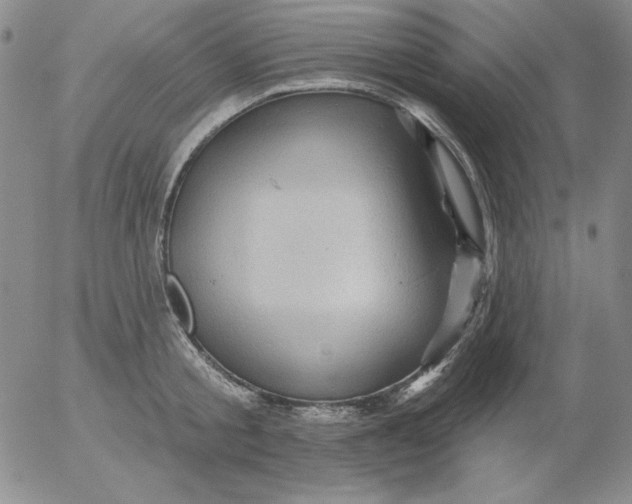 X0000053080805200508012004