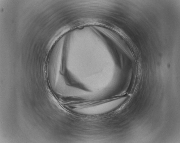 X0000053080806200508012004