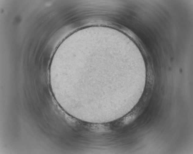 X0000053080807200508012004