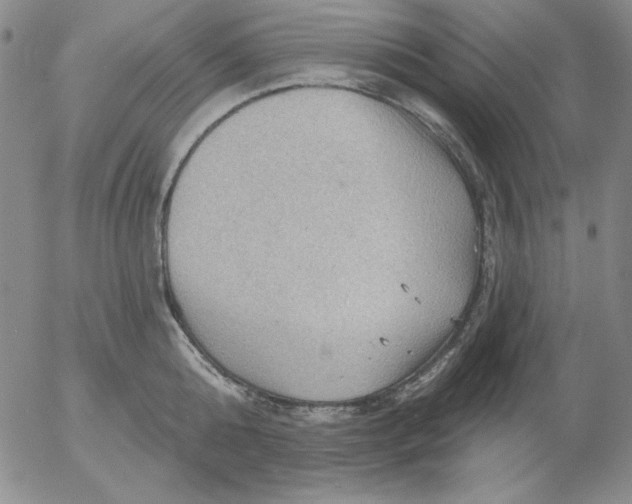 X0000053080808200508012004