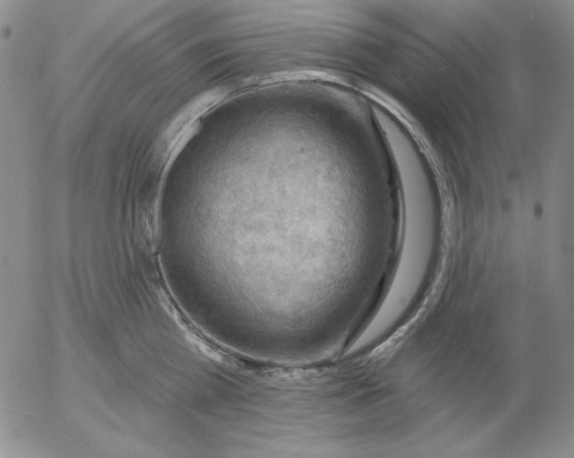 X0000053080809200508012004