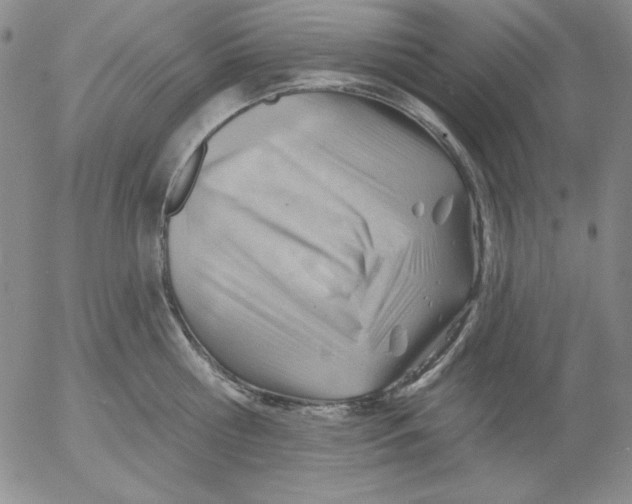 X0000053080810200508012004