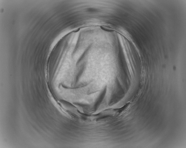 X0000053080811200508012004