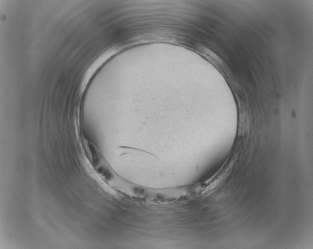 X0000053080812200508012004