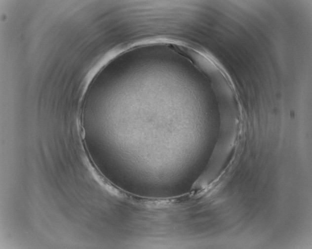 X0000053080813200508012004