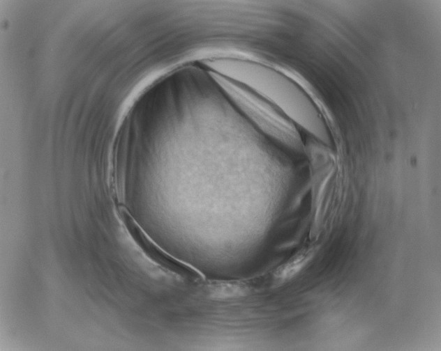 X0000053080815200508012004