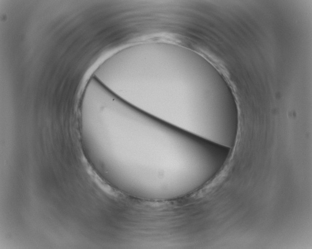 X0000053080816200508012004