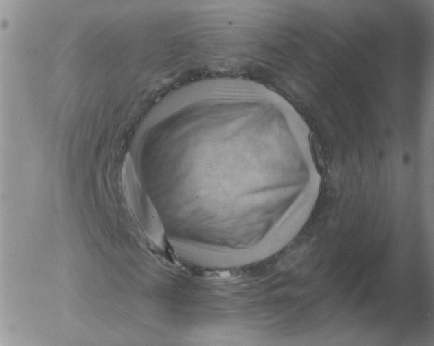 X0000053080817200508012003