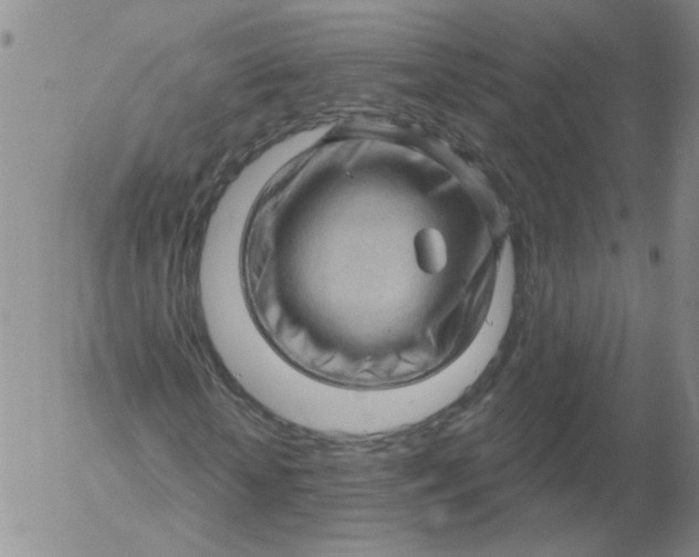 X0000053080818200508012003