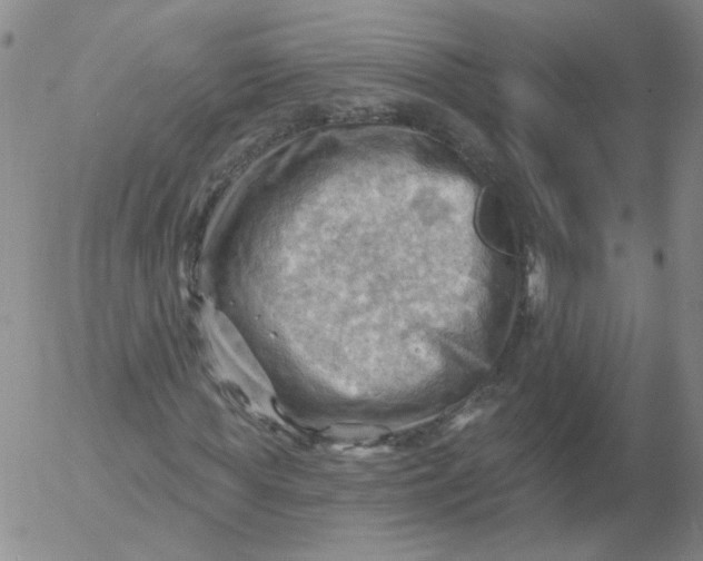 X0000053080819200508012004