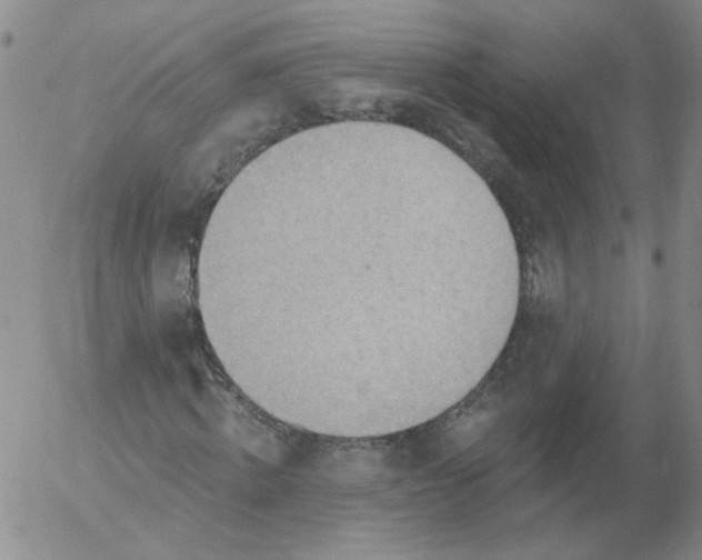 X0000053080820200508012004