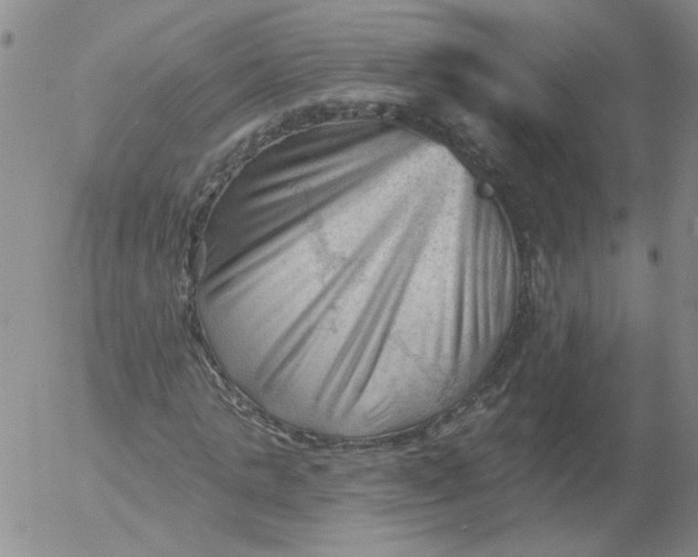 X0000053080821200508012004