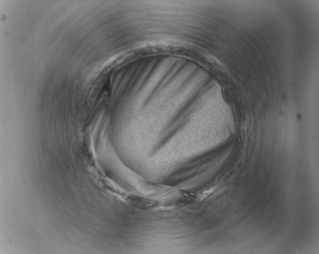 X0000053080822200508012004