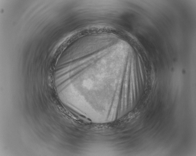 X0000053080823200508012004