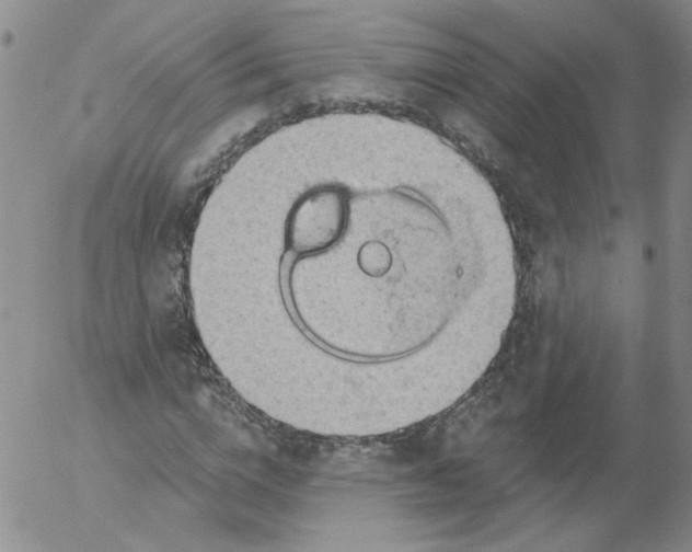 X0000053080824200508012004