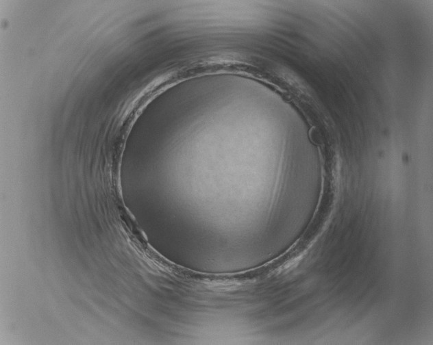 X0000053080825200508012004