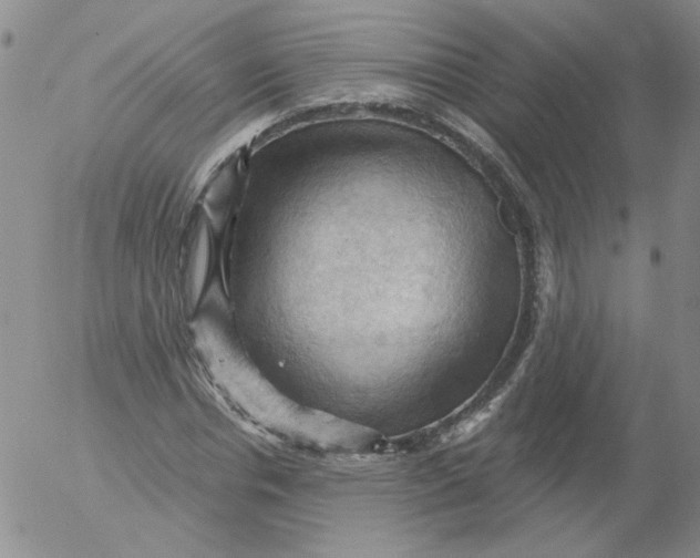 X0000053080826200508012004