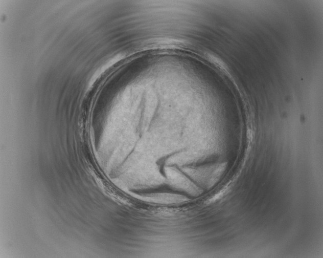 X0000053080827200508012004