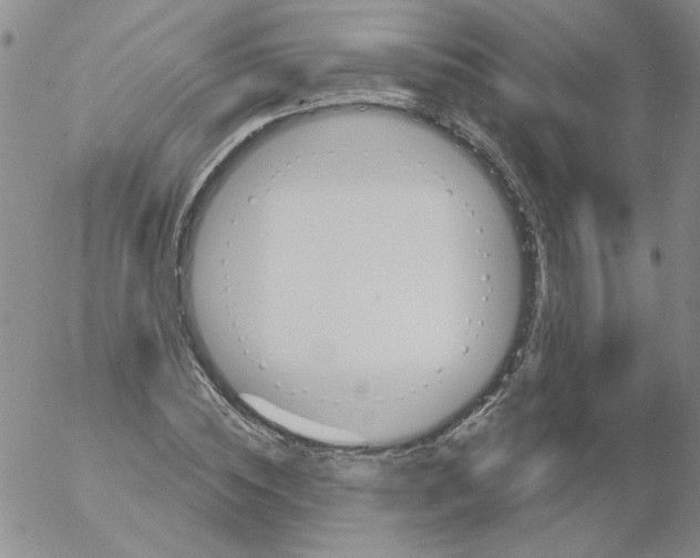 X0000053080828200508012004