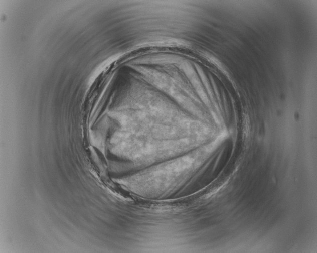 X0000053080829200508012004