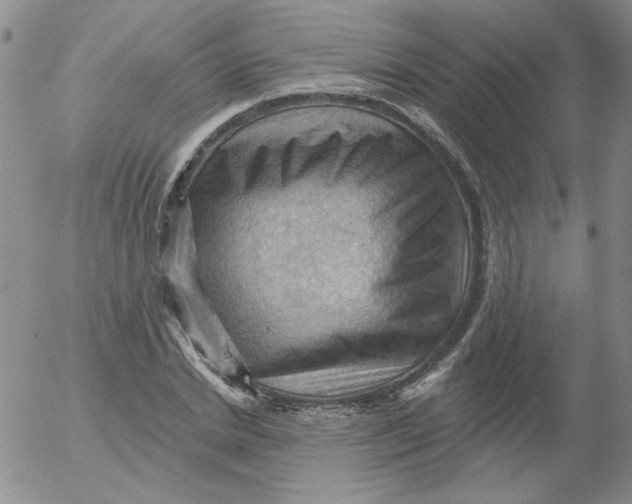 X0000053080830200508012004