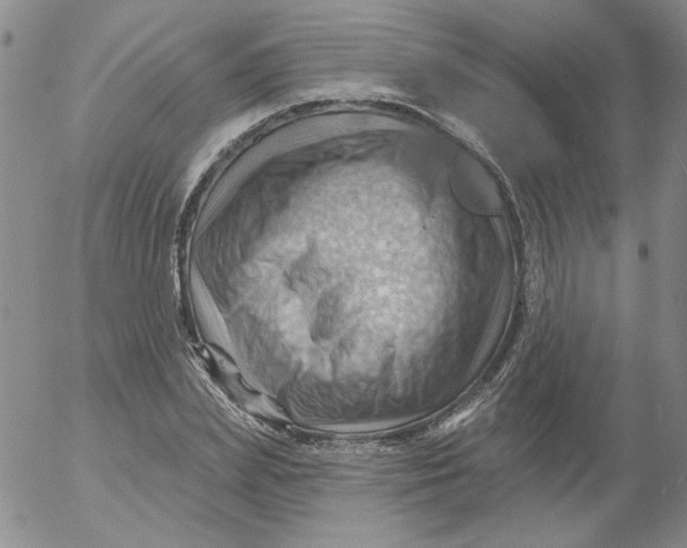 X0000053080831200508012004