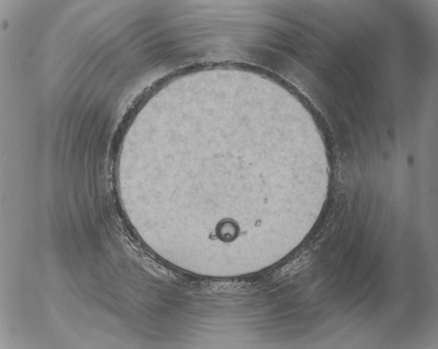 X0000053080832200508012004