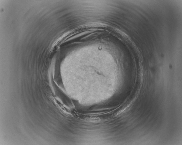 X0000053080833200508012004