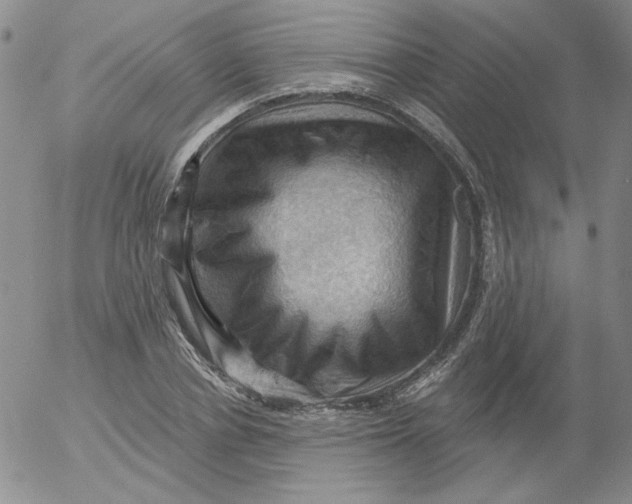 X0000053080834200508012004