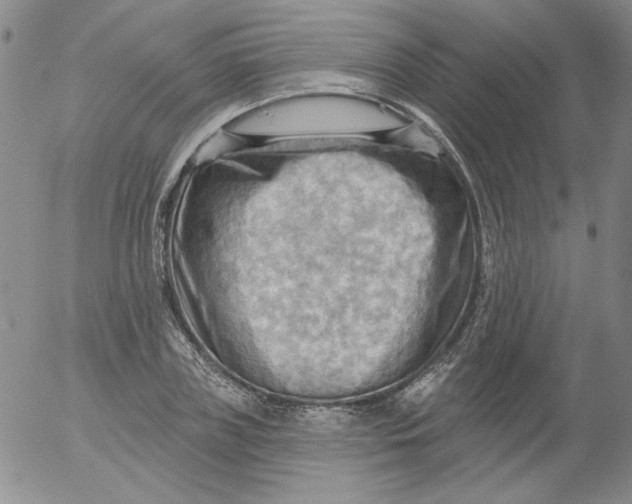 X0000053080835200508012004