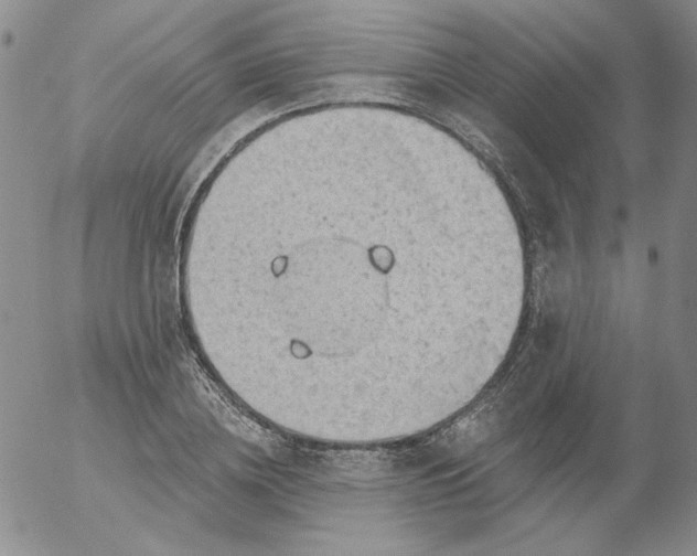 X0000053080836200508012004