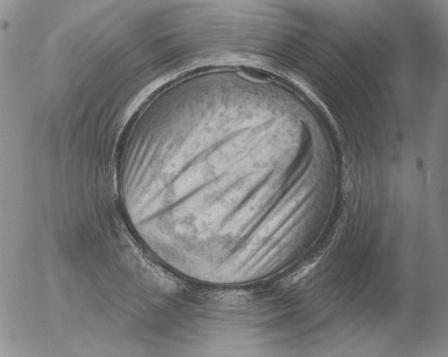 X0000053080837200508012004